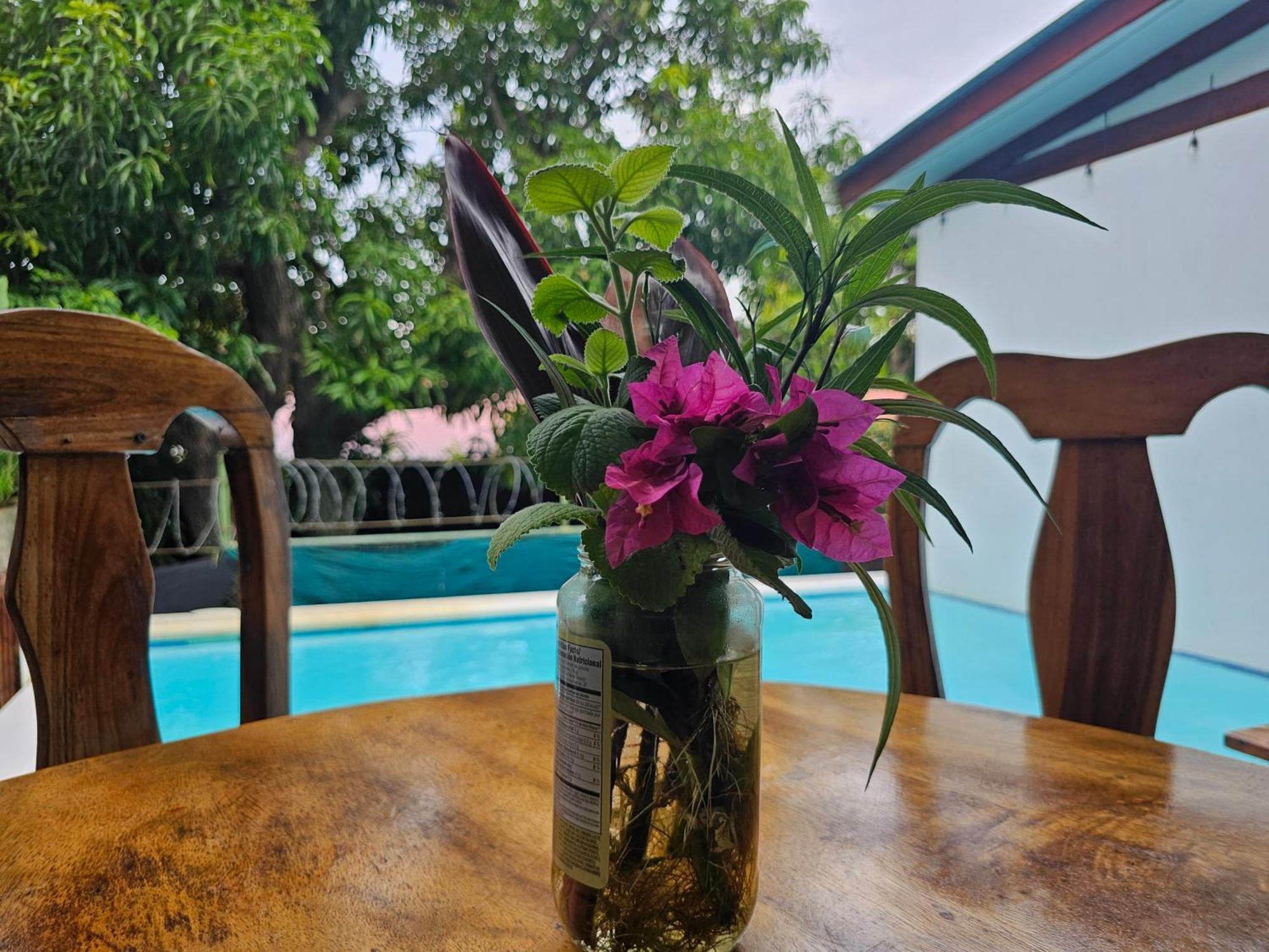 Nuestra Casa Bed and Breakfast San Juan del Sur Eksteriør billede
